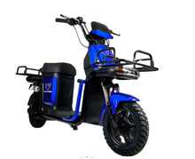 تحميل الصورة إلى عارض المعرض، Windhorse M4 Heavy Duty Cargo Bike
