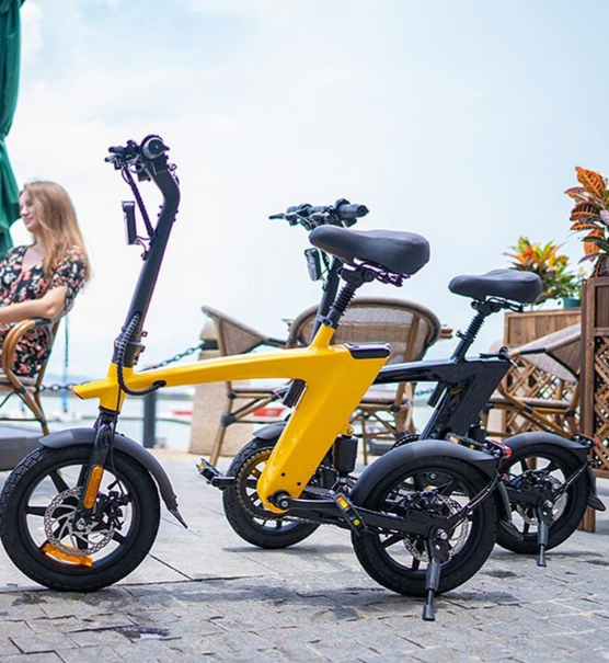 Harley Fitness E-Bike H1 - Black 36V 350W