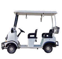 تحميل الصورة إلى عارض المعرض، EV Buggy Passenger Park-kids area 3-4 seater
