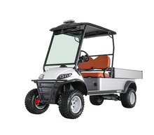 تحميل الصورة إلى عارض المعرض، 2-Seater Lifted Utility Cargo Golf Cart with Hydraulic Cargo Lift
