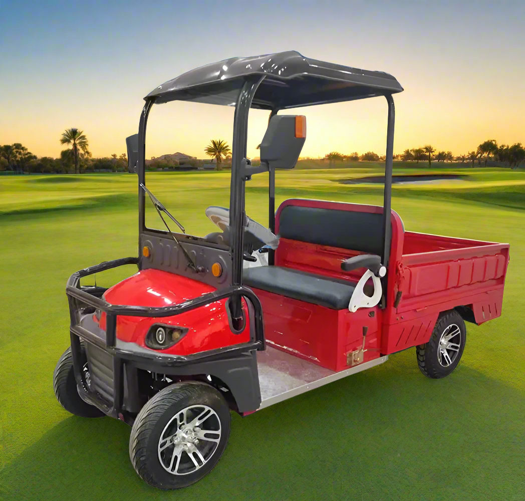 Carts 2-Seater Electric Golf Cart with Long Cargo Utility Box