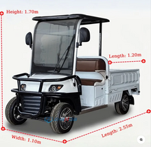 Load image into Gallery viewer, Carts 2-Seater Electric Golf Cart with Long Cargo Utility Box
