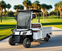 Load image into Gallery viewer, Carts 2-Seater Electric Golf Cart with Long Cargo Utility Box
