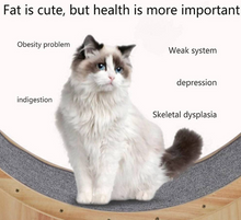 Load image into Gallery viewer, Whisker Workouts: The Ultimate Cat Wheel for Active Felines!
