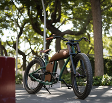 Load image into Gallery viewer, Rayvolt Cruzer L Classic Into Modern Electric Bike
