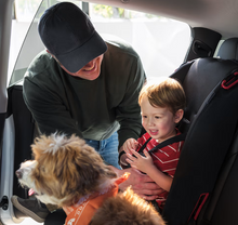 تحميل الصورة إلى عارض المعرض، Tesla Model Y All-Wheel Drive (AWD)
