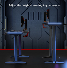 Load image into Gallery viewer, Electric Standing Desk,47 Inch RGB Lights Gaming Computer Desk, Gamer Desk Workstation with Free Mouse Pad（60 * 56cm）,Black
