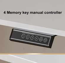 Load image into Gallery viewer, Electric Standing Desk,47 Inch RGB Lights Gaming Computer Desk, Gamer Desk Workstation with Free Mouse Pad（60 * 56cm）,Black
