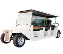 Load image into Gallery viewer, Classic Luxury Palace Car electric Golf cart White
