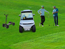 Load image into Gallery viewer, Eco Luxury Golf Cart 4 seat Short Cargo
