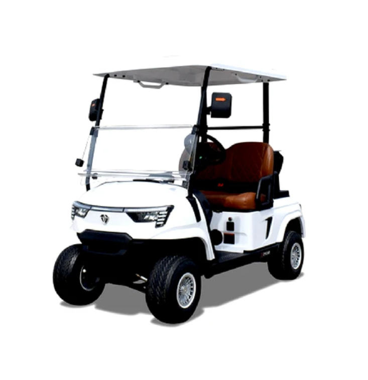 Eco Luxury Golf Cart 2 seater