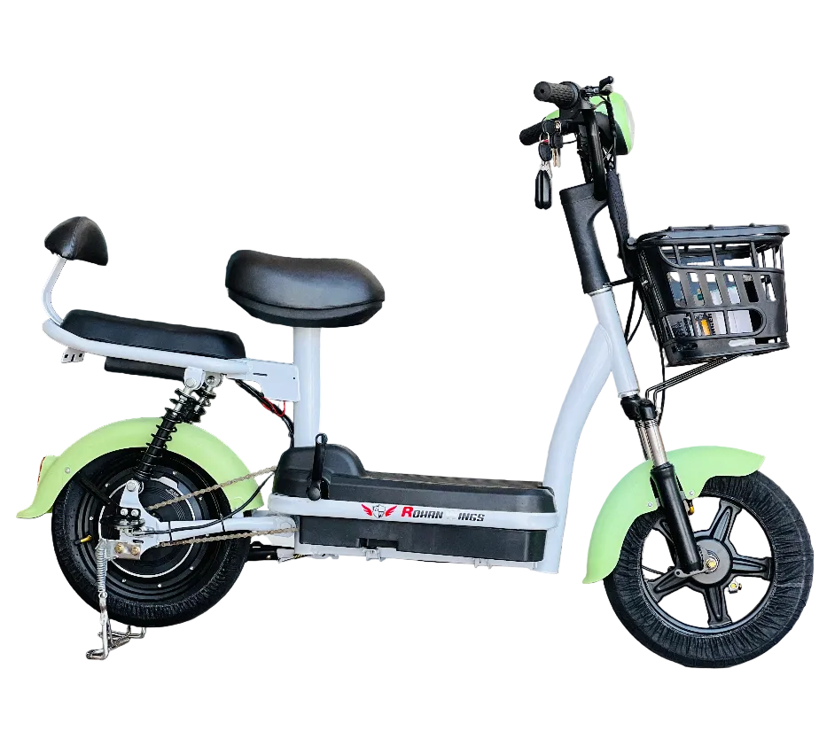 City Electric Bike Home -Delivery All purpose 48V 12Ah 350W -2026 new