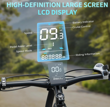 تحميل الصورة إلى عارض المعرض، Windhorse F3 Electric Stylish City E Bike 48V15.6 Ah (Removable)450W
