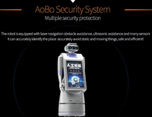 Load image into Gallery viewer, AI Humanoid Mall Bank Intelligent Welcome Reception Service Robot
