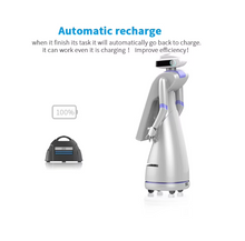 Load image into Gallery viewer, AI Humanoid Mall Bank Intelligent Welcome Reception Service Robot
