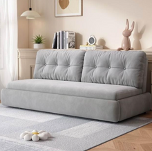 تحميل الصورة إلى عارض المعرض، Armless Pull-out Sofa Bed
