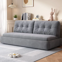 تحميل الصورة إلى عارض المعرض، Armless Pull-out Sofa Bed
