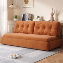 تحميل الصورة إلى عارض المعرض، Armless Pull-out Sofa Bed
