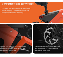 Load image into Gallery viewer, Kingsong M3 Electric Bike
