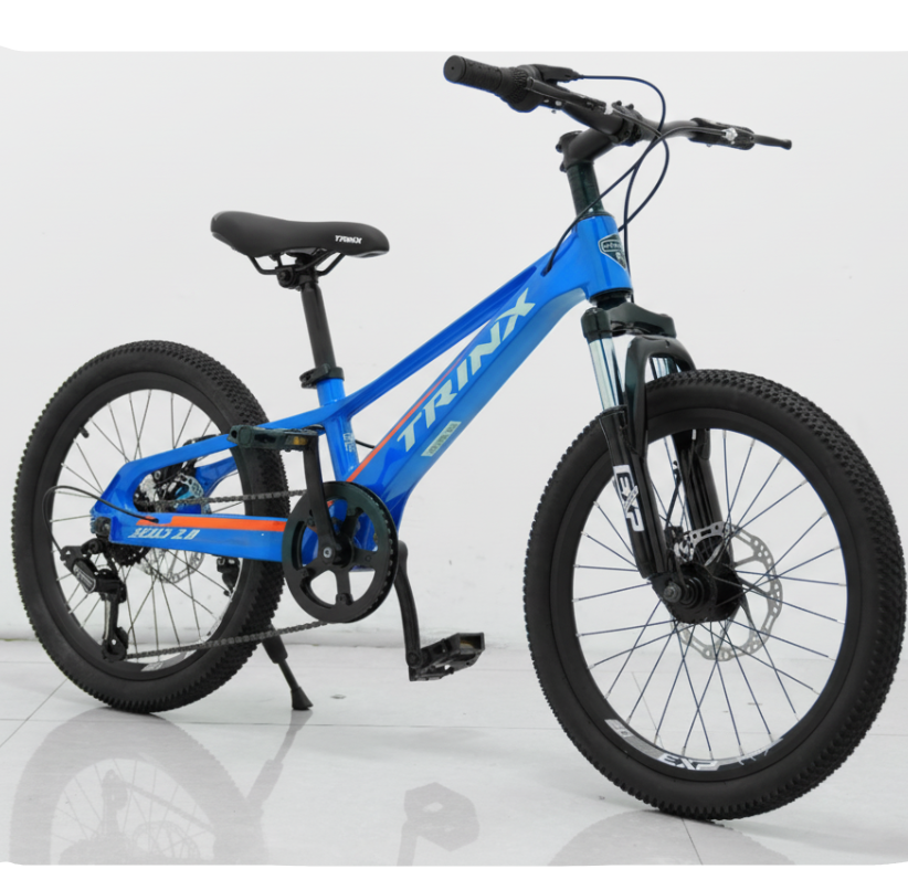 Trinx Seal 2.0 Kids Mountain Bike with Gear 20-Inch Age 5-8 Years