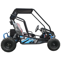 تحميل الصورة إلى عارض المعرض، Off Road Electric Buggy UTV With 02 Seats For All Terrain
