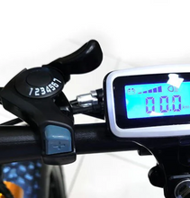 تحميل الصورة إلى عارض المعرض، Fat Tire Harley Foldable E-Bike for Rough Tough Sandy Terrain 36V 12Ah 350W
