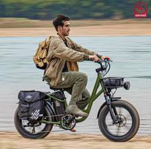 Load image into Gallery viewer, FIIDO T1 Electric Bike 48V 20Ah Cargo offroad 150km range
