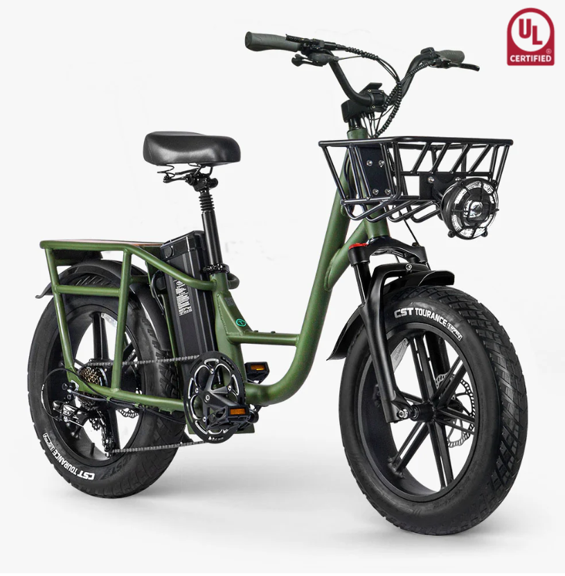 FIIDO T1 Electric Bike 48V 20Ah Cargo offroad 150km range