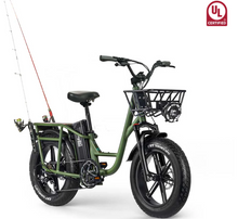 Load image into Gallery viewer, FIIDO T1 Electric Bike 48V 20Ah Cargo offroad 150km range
