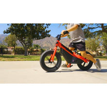 Load image into Gallery viewer, Razor Dash Electric Bike kids activity toy
