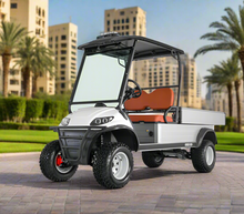 تحميل الصورة إلى عارض المعرض، 2-Seater Lifted Utility Cargo Golf Cart with Hydraulic Cargo Lift

