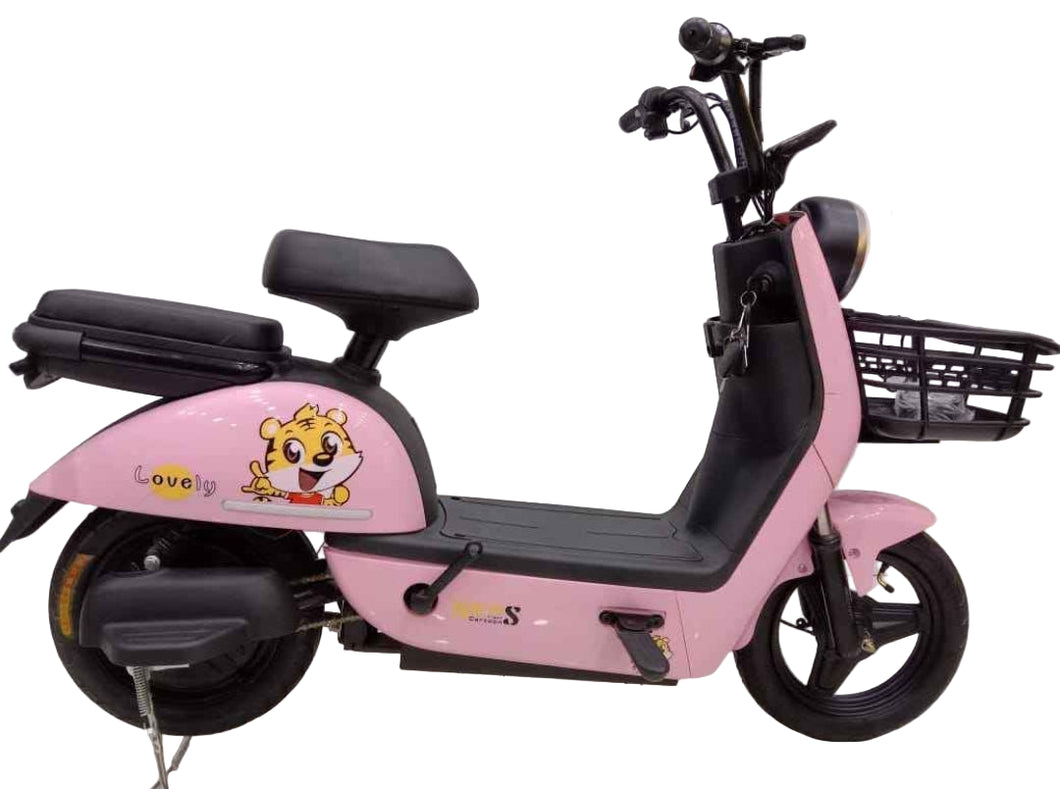 Ladies City Electric Bike B9P 48V 12Ah 350W