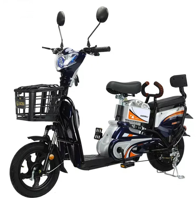 Electric Dilivery Scooter 48V 12Ah New 2025