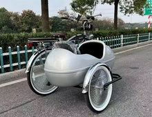 Load image into Gallery viewer, Retro Alloy Side Tricycle
