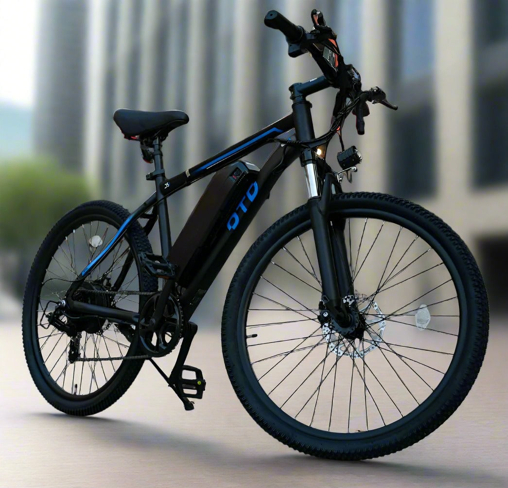 LUCKY LIANG City Electric Bike OTD DS 01 - 48V 13Ah