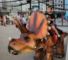 تحميل الصورة إلى عارض المعرض، Ride on Dinosaur Mechanical Electric Rides for Amusement Park-DR-N-18
