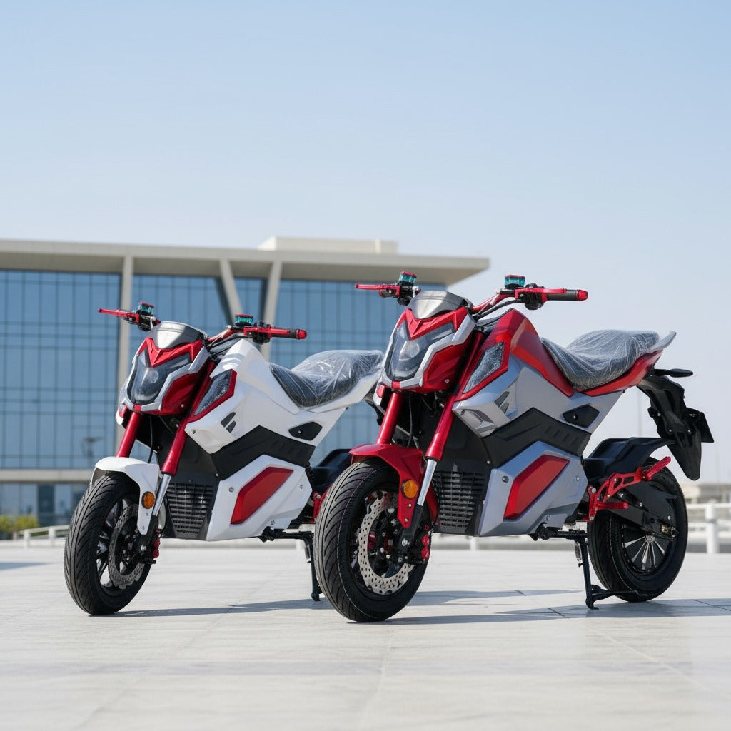 RS-2 Sporty Electric Bike 60V 20Ah