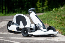 Load image into Gallery viewer, Original Ninebot Gokart Kit Version 2 + Ninebot Mini Pro 2 Self Balance Scooter
