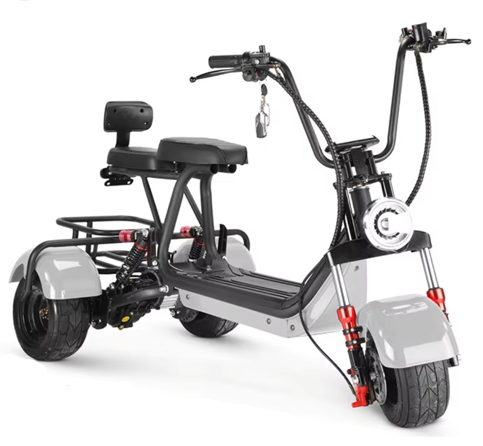 New City Coco Three wheeled Harley 60V 15Ah 800W