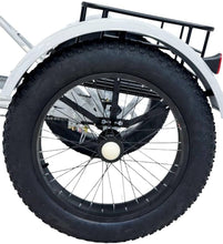 تحميل الصورة إلى عارض المعرض، Adults Fat Tire Tricycle
