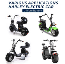 تحميل الصورة إلى عارض المعرض، Big Harley Replaceable Battery 60V 13Ah Lockable
