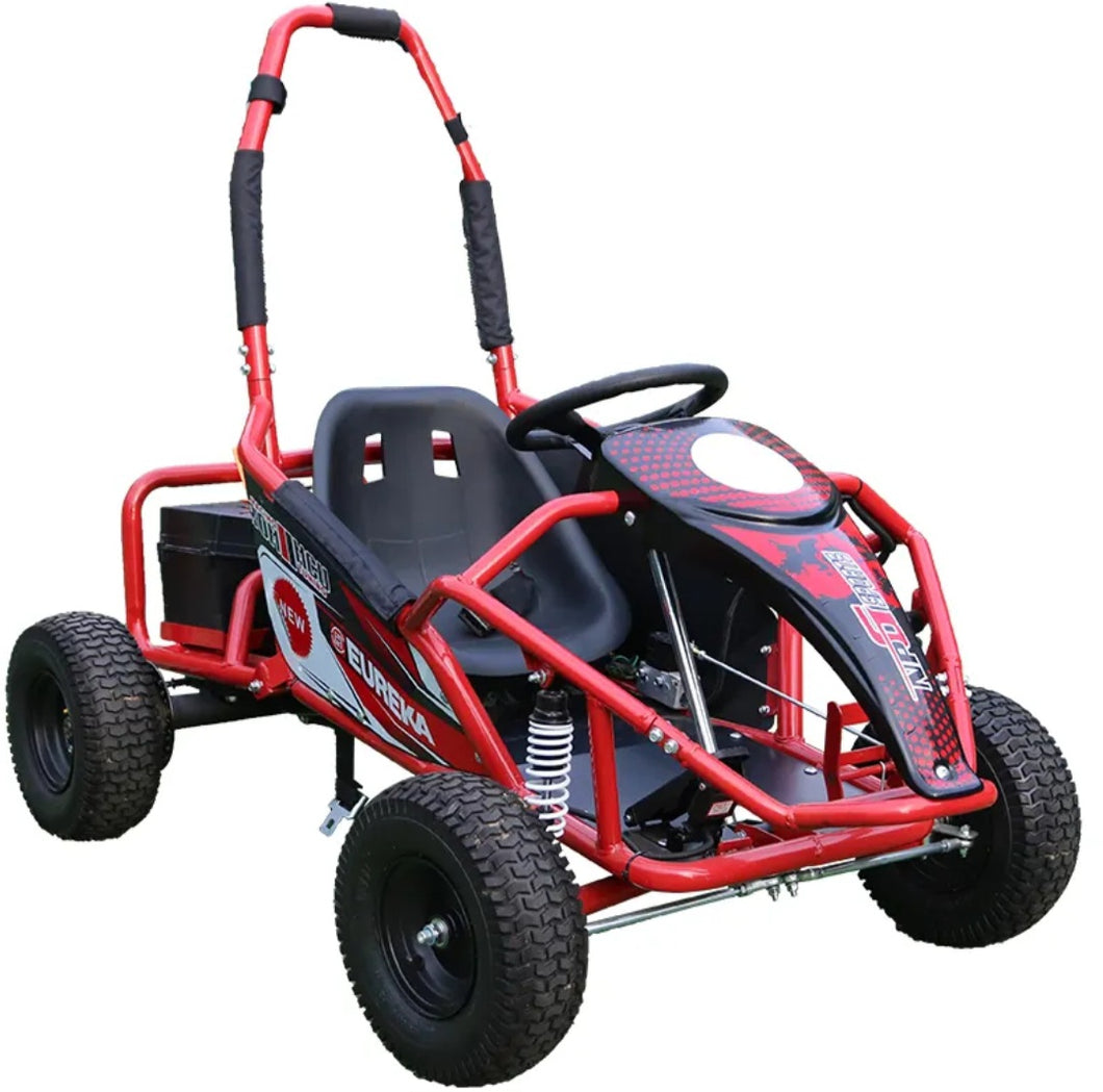 Electric Rideon Gokarts Buggy Car For teens & Adults