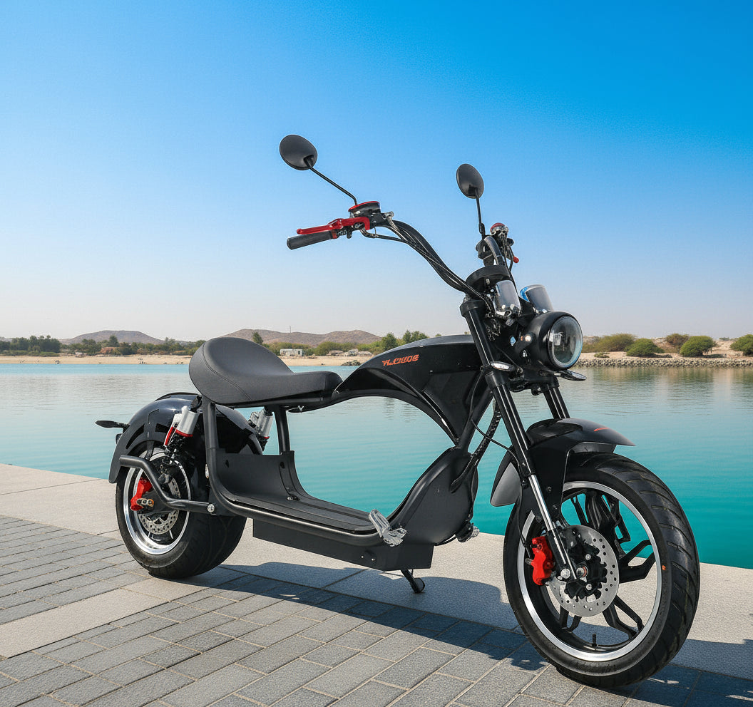 Kugoo M1 Fat Tire Harley Electric Bike 60V 20Ah 2000W