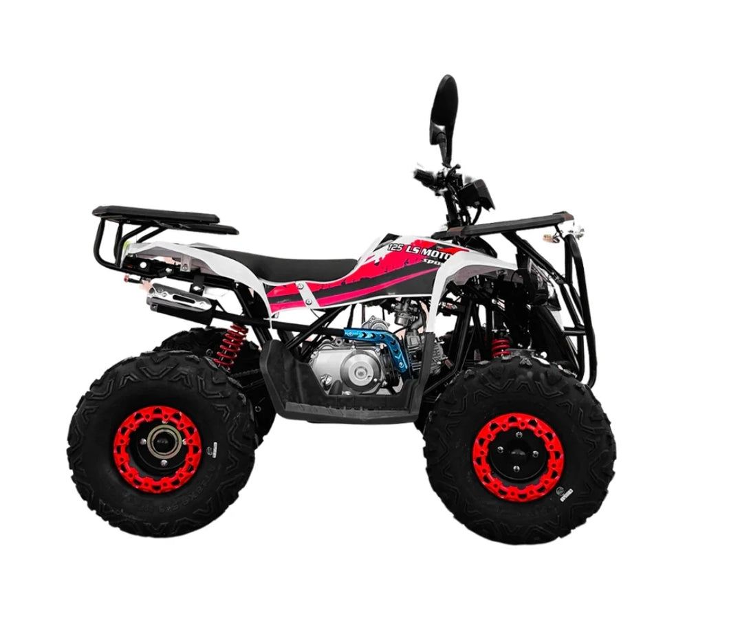 Full Automatic Off Road Atv With Riverse Gear 125cc Gas powered