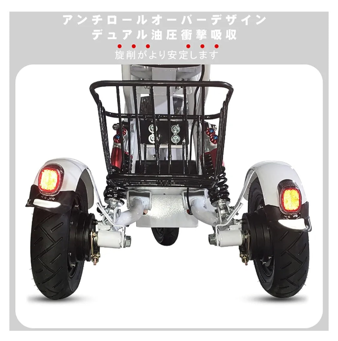 Electric Tricycle For Young and Adults