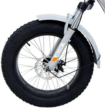 تحميل الصورة إلى عارض المعرض، Adults Fat Tire Tricycle
