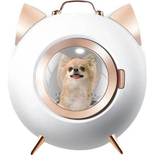 Load image into Gallery viewer, 360° Quick Dry Pet Grooming Box with Silent Comfort LZM-CWHGJ01
