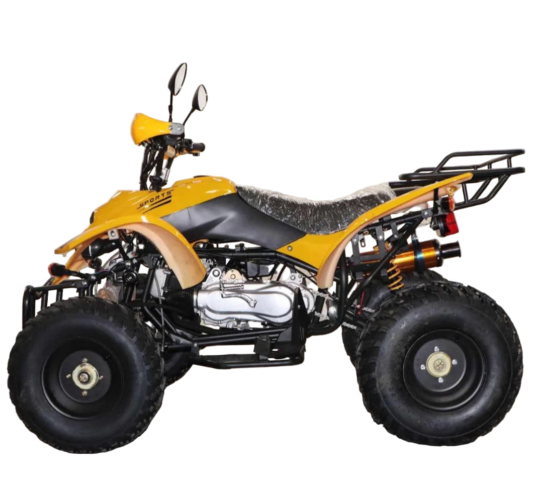 Quad Bike 250cc Gas powered Electric Start Hydraulic Disk Brakes
