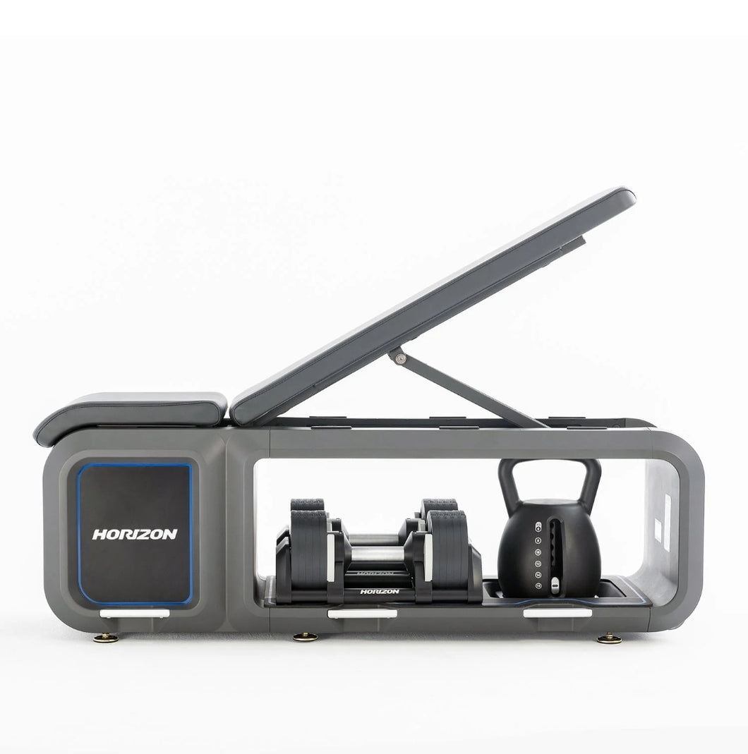 Horizon all in One Bench with Adjustable Dumbbells & kettlebell