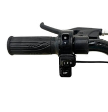 Load image into Gallery viewer, Winner Kids Electric Scooter With Seat pet Teddy Basket Age 4-8
